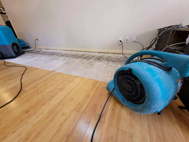 Professional Sewage Cleanup technician working in Manchester, MA